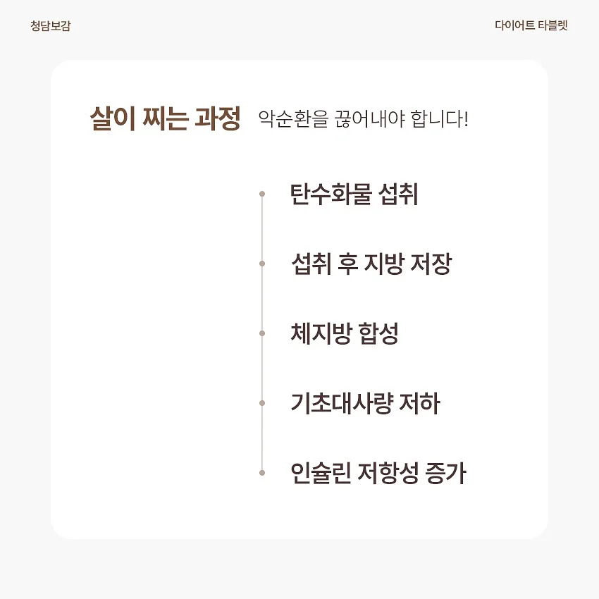 니트 셋업 5