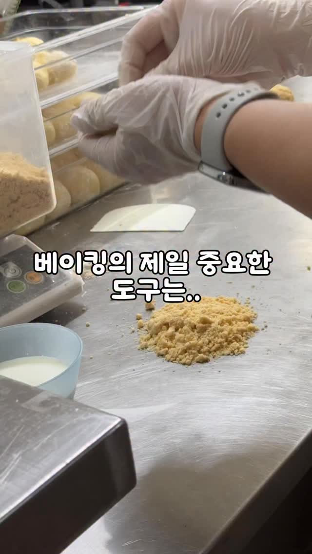 순금 거북이