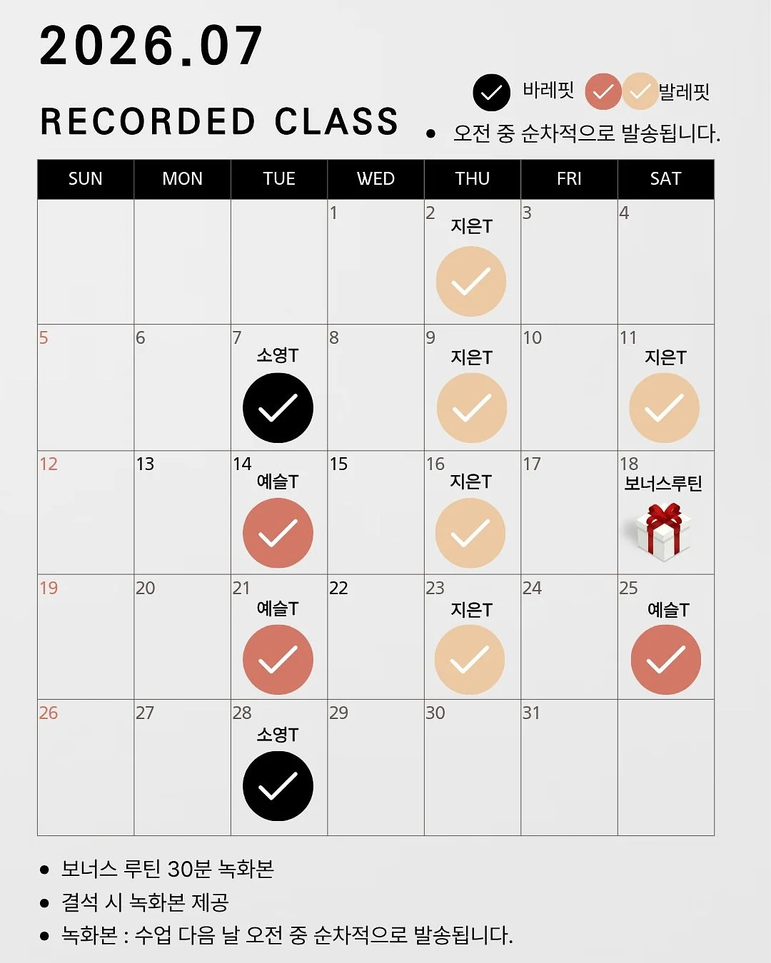 비비안 노브라 니플패치 2