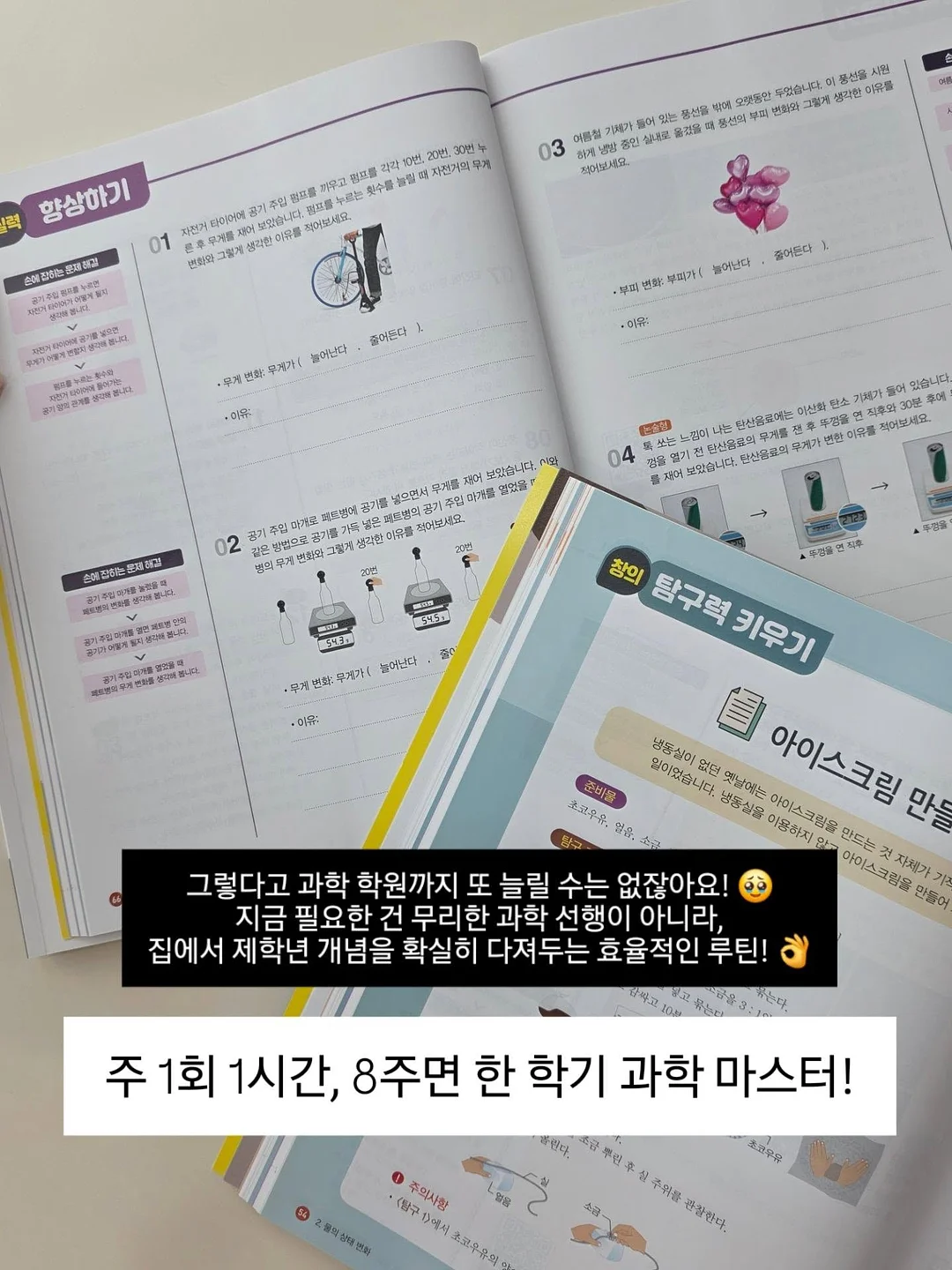 베라히긴스 버블리하트 화분 4