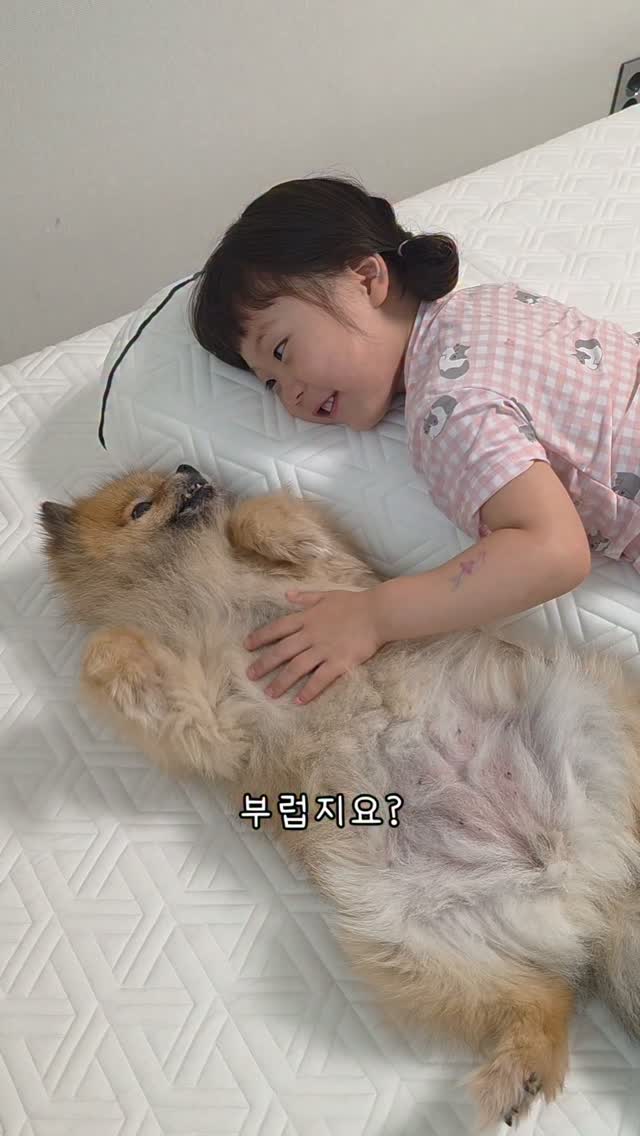 마이트렉스 EMS 헤드 스파 프로