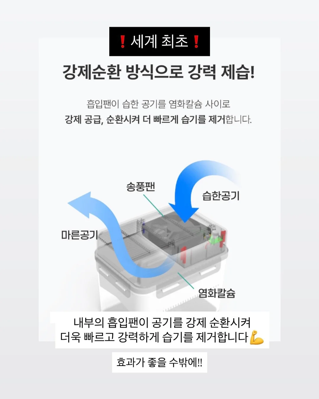 H&M 티셔츠 7