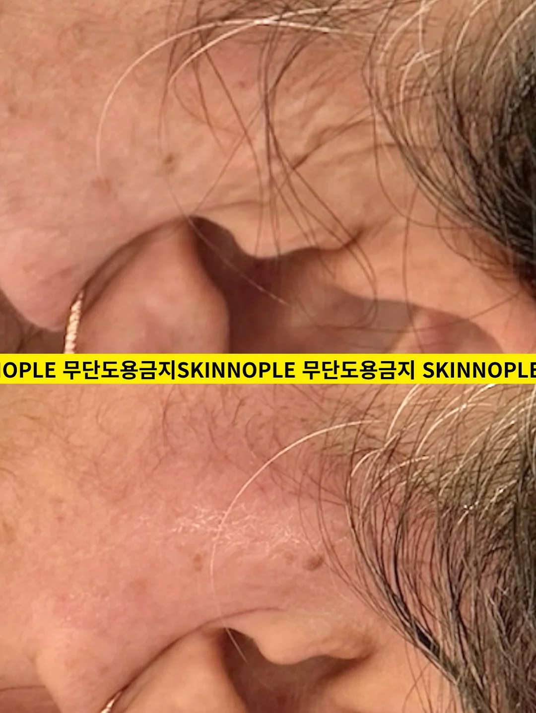 유기농 컬리케일 스틱 8