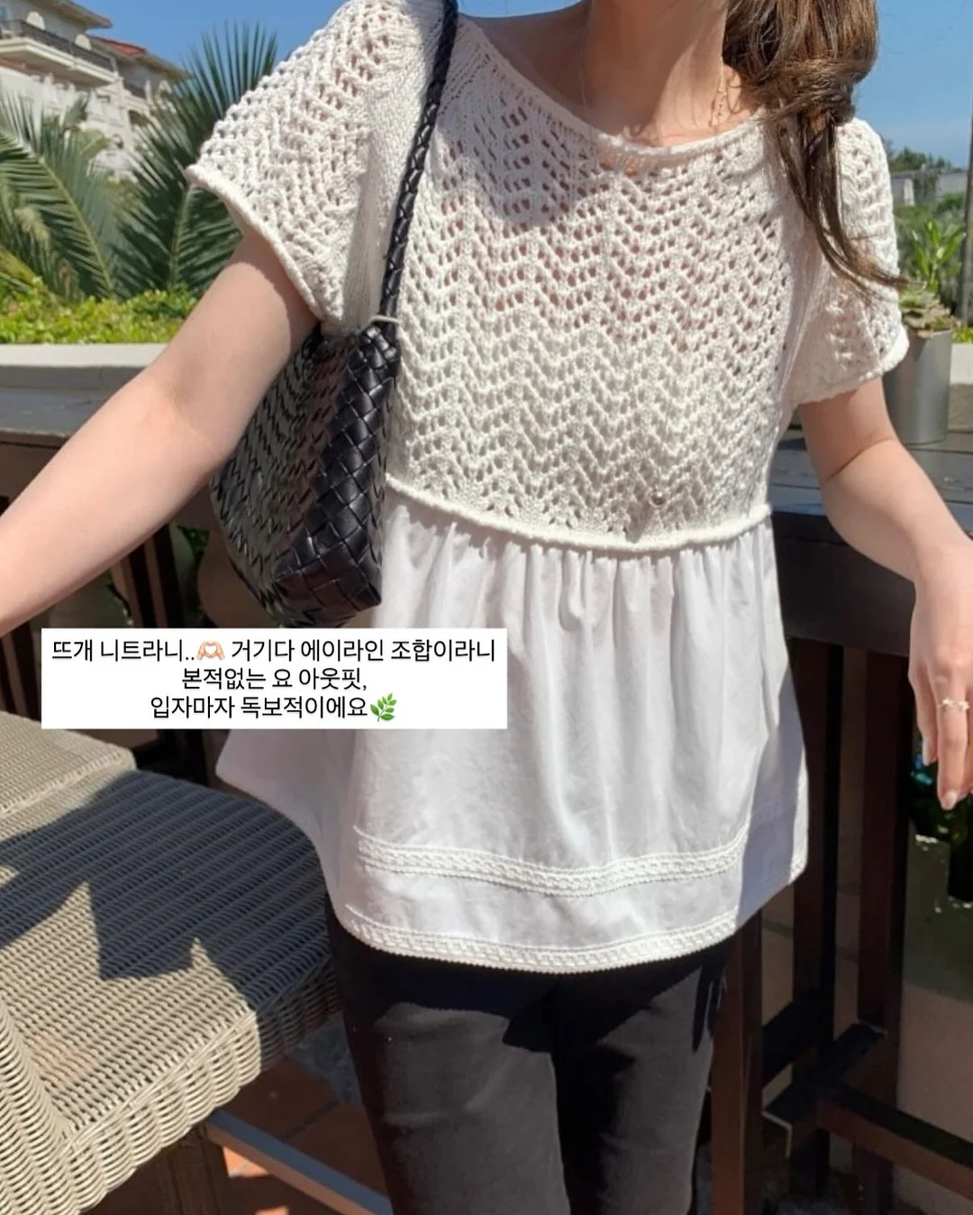 버섯 6