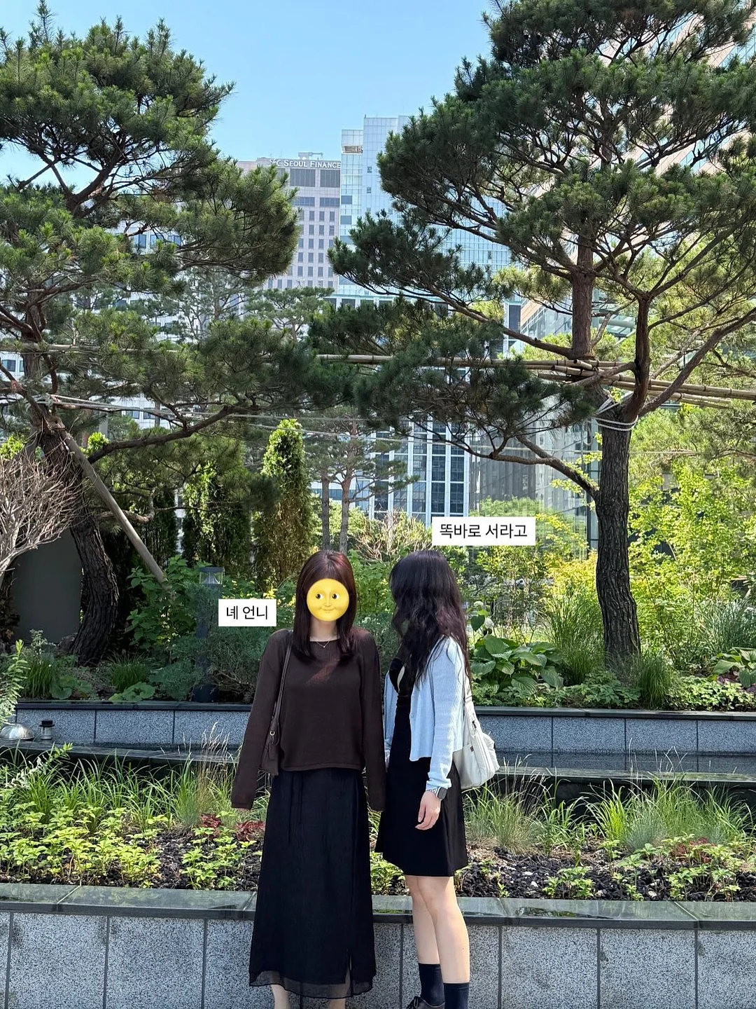 오해오케이크 6