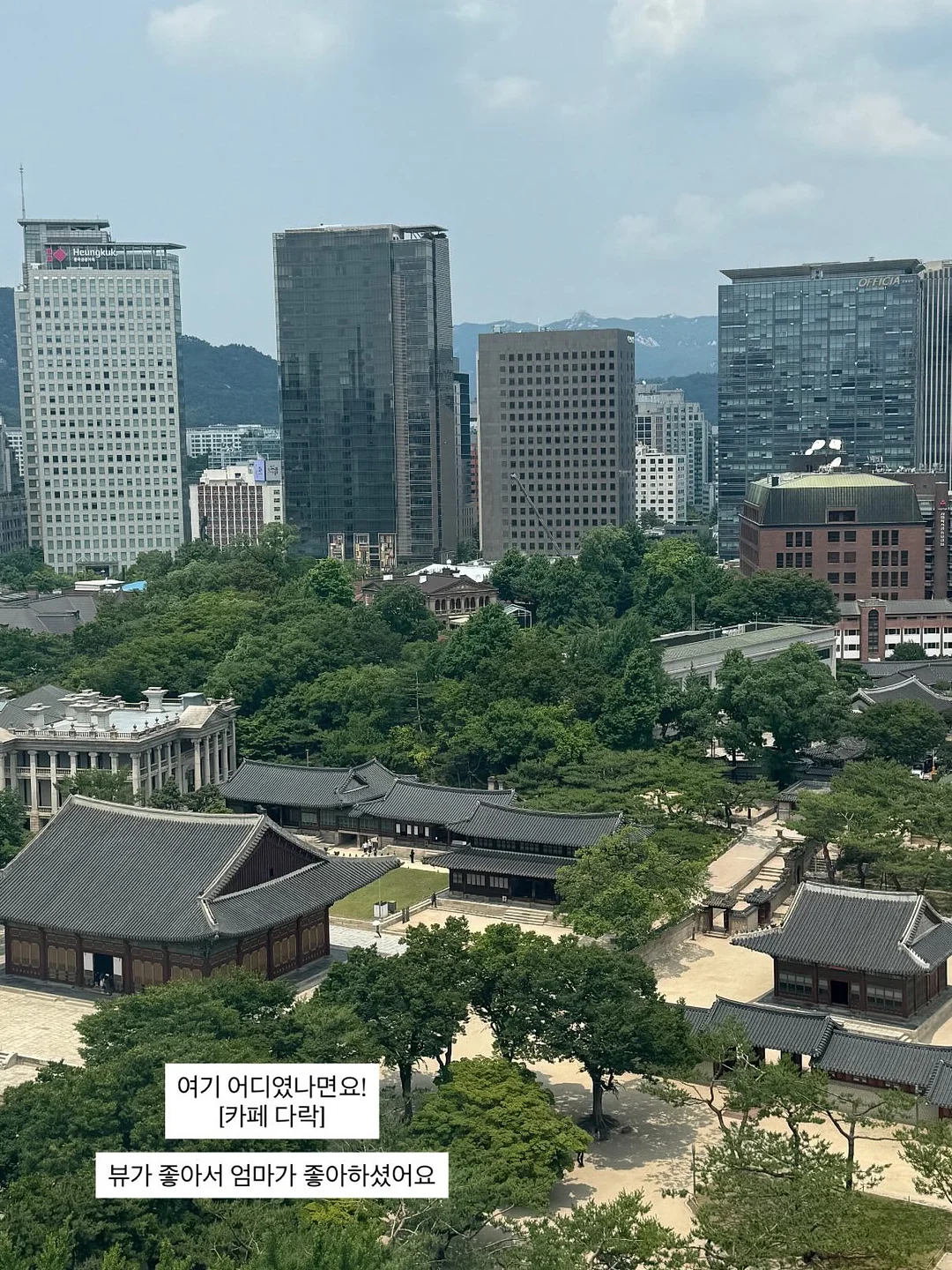 오해오케이크 8
