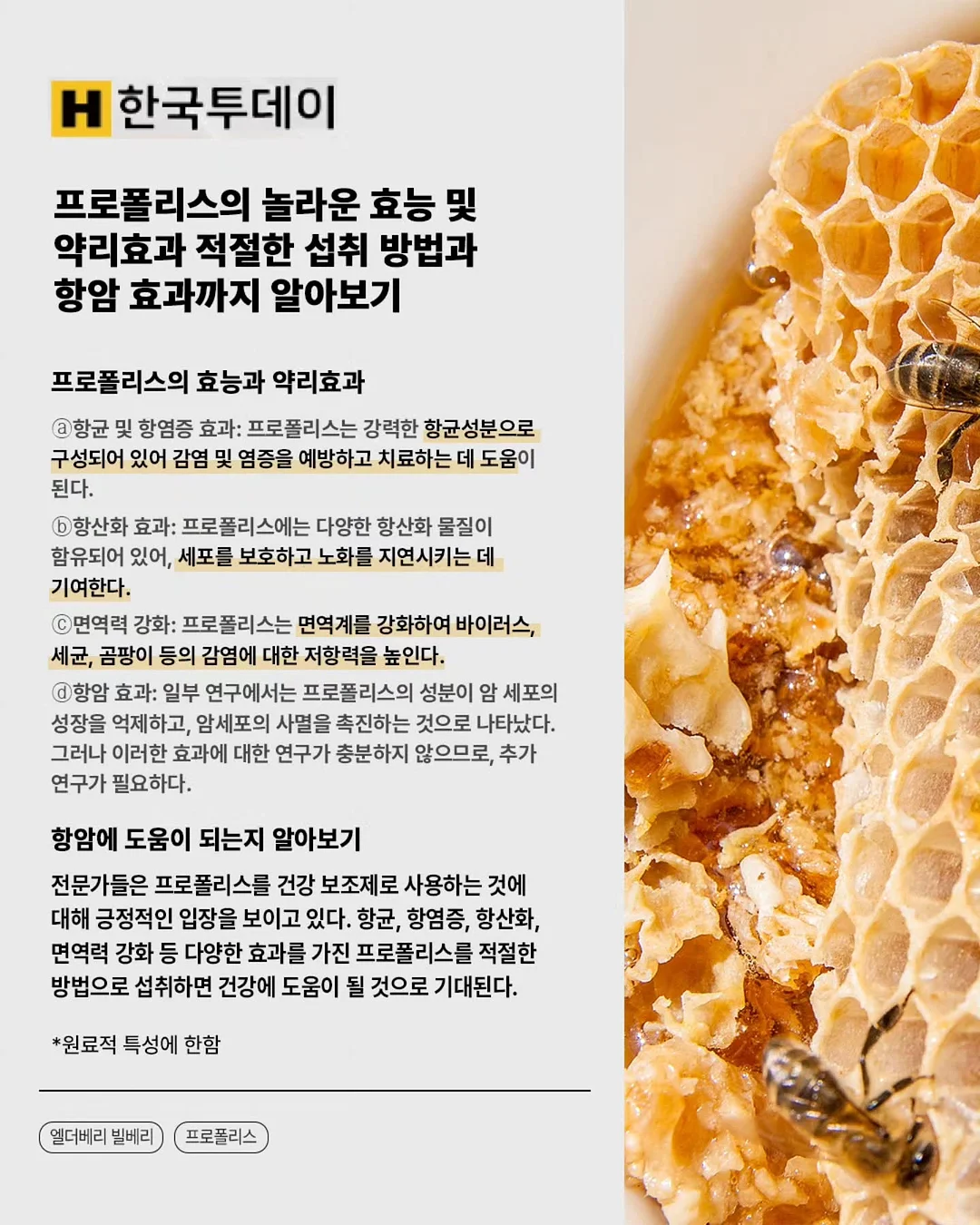 빈티지리본 피규어 2호 케이크 12