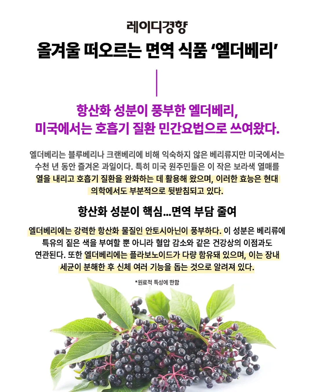 빈티지리본 피규어 2호 케이크 14