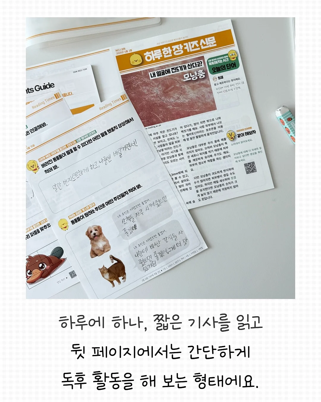 블로우 보냉백팩 10