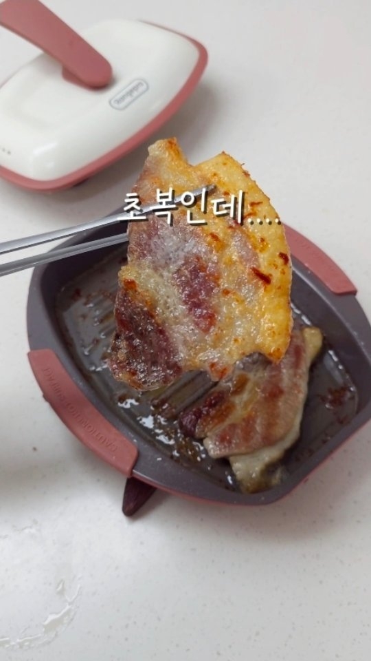 자동 디스펜서