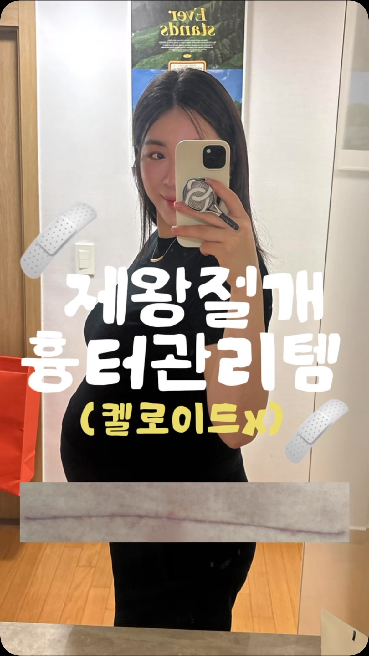 크레모아 클립팬