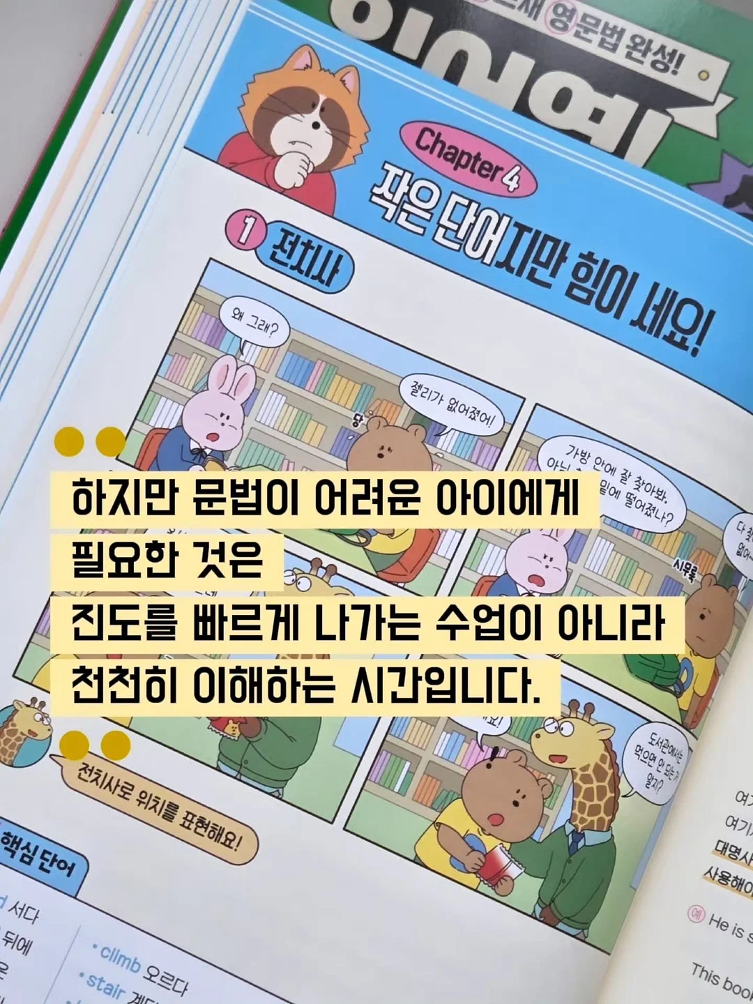 신발끈 5