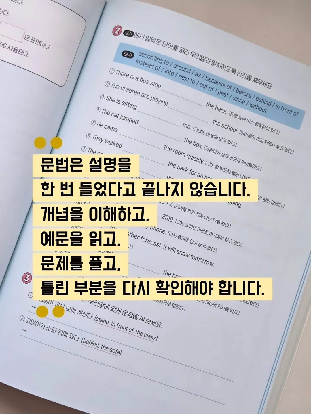 신발끈 6