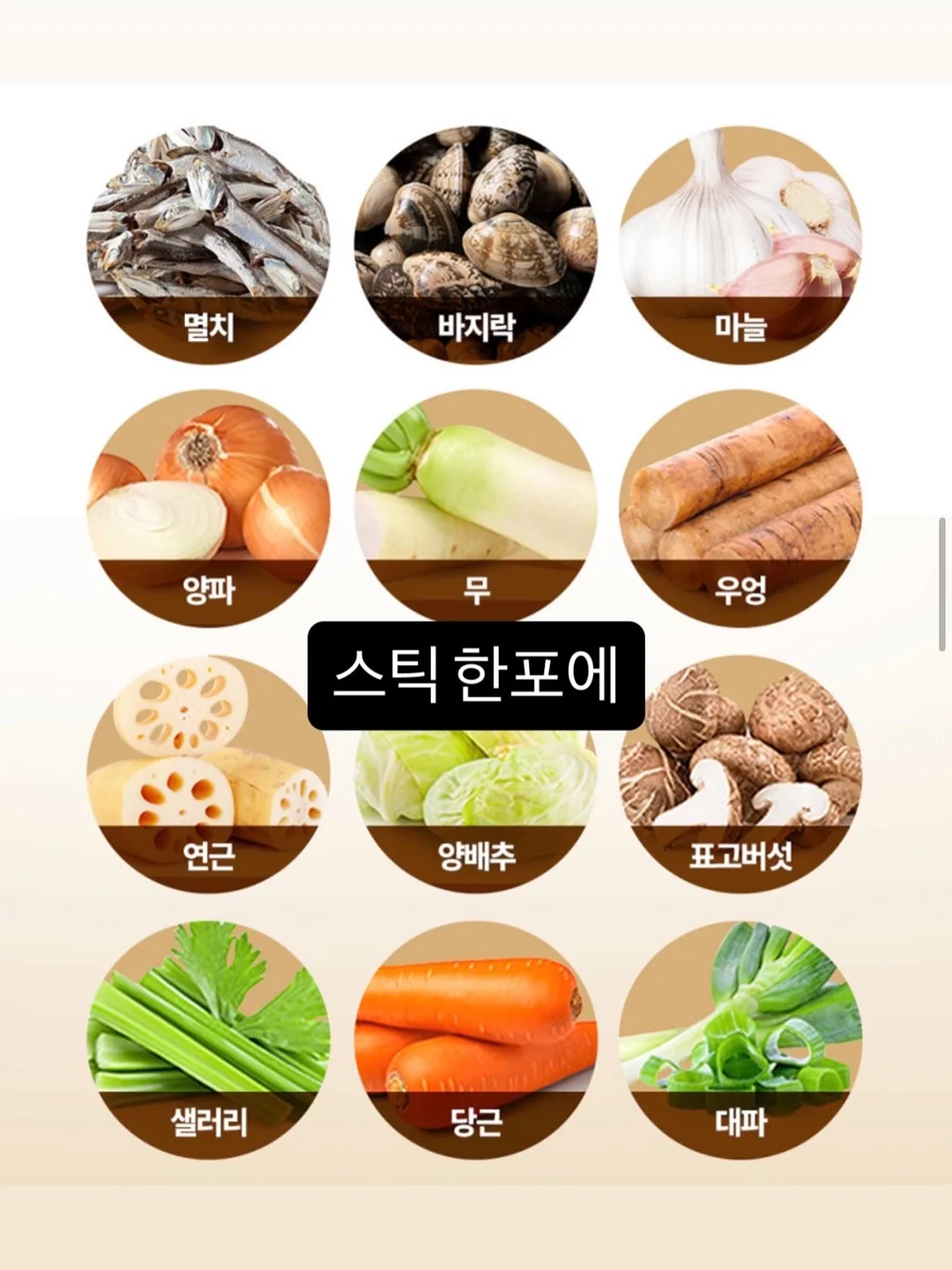 원적외선 돔 6