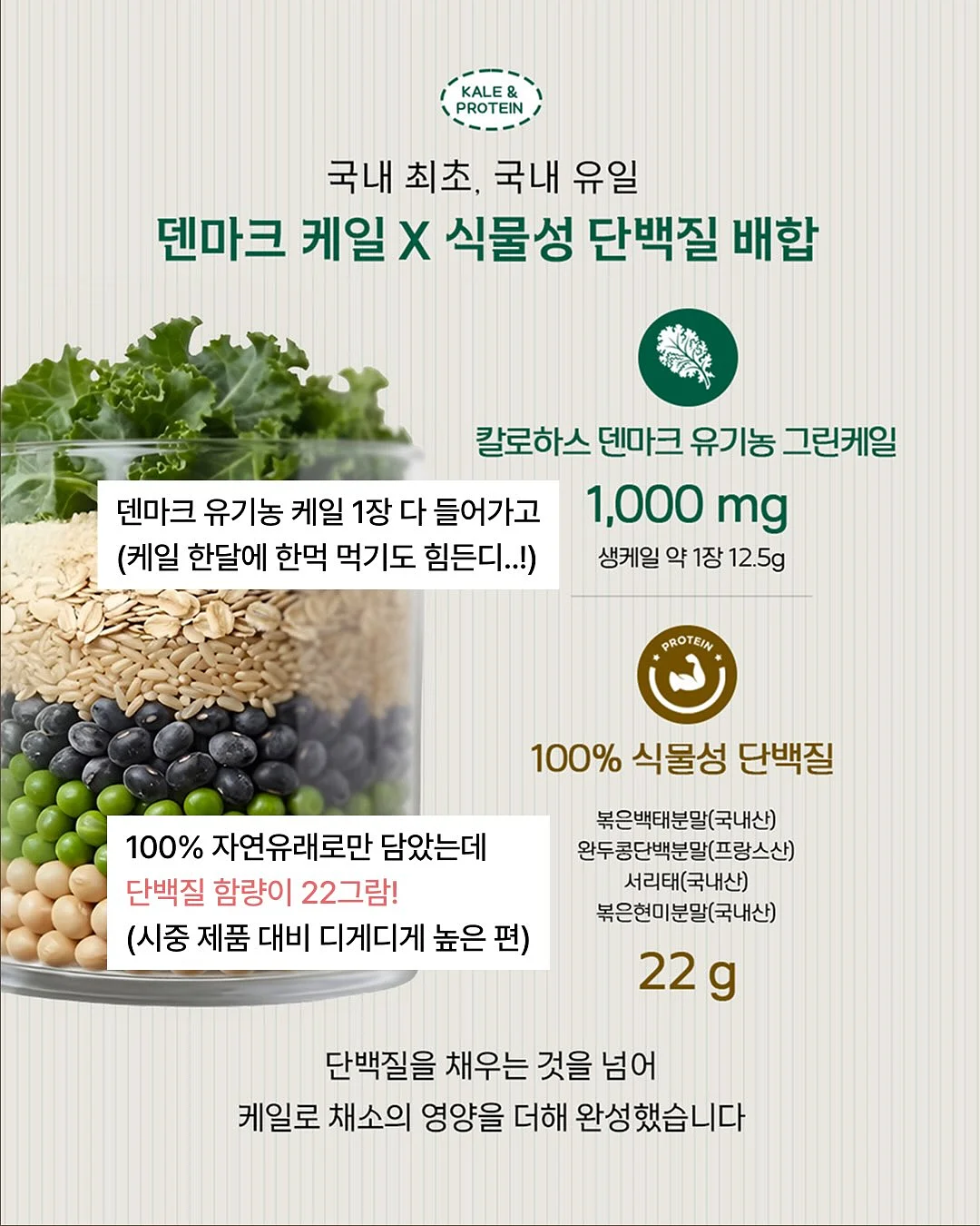 야채 초퍼 6
