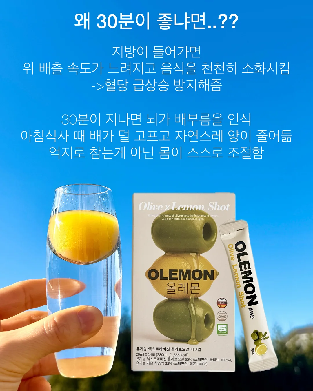 A5 코튼백 북백 8