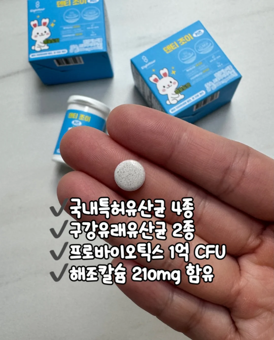 분수의 선물 6