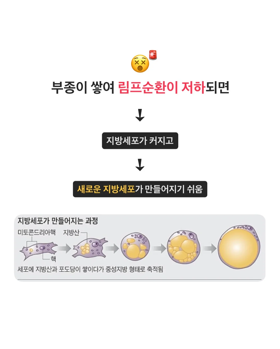 샐러드 5