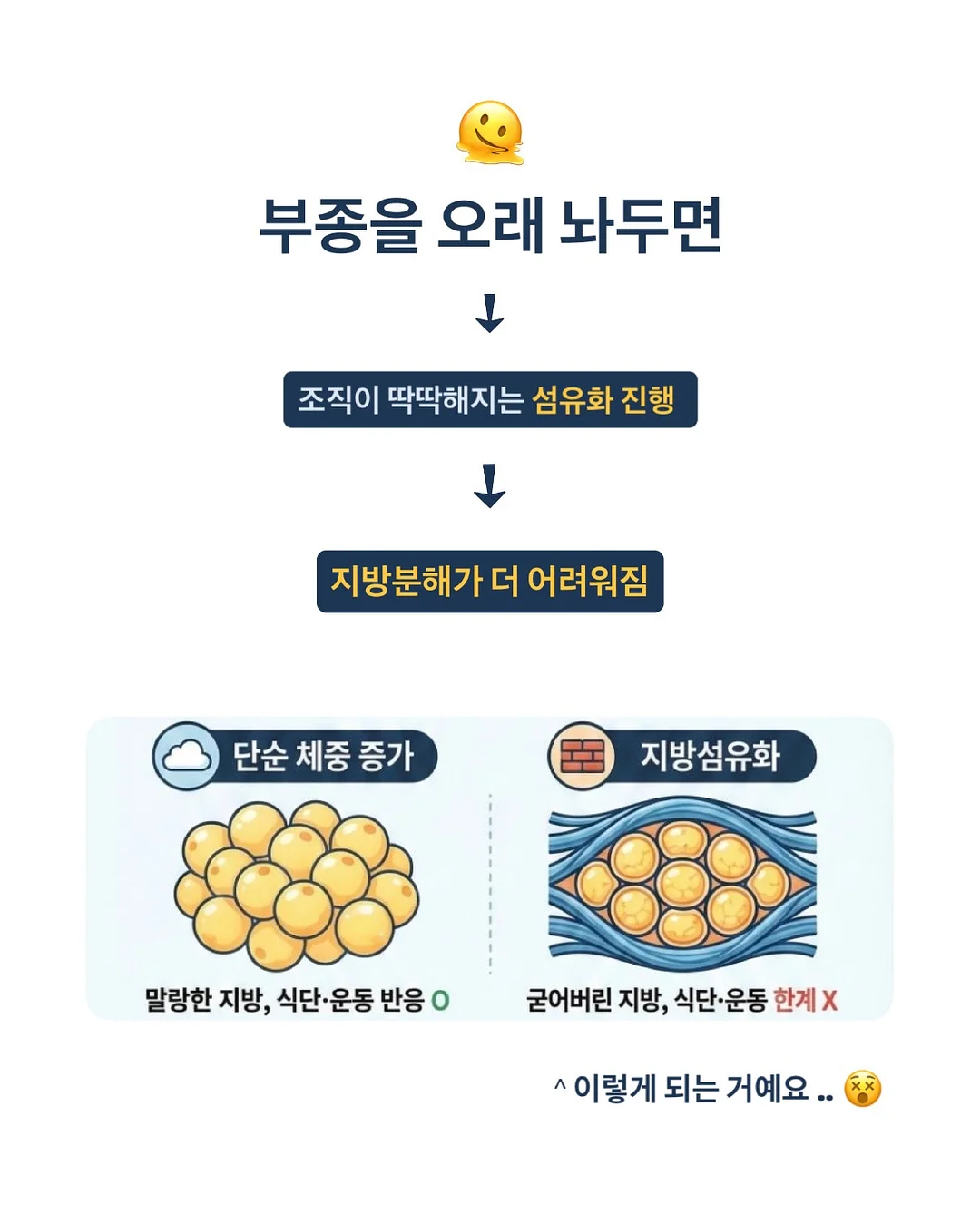 샐러드 6
