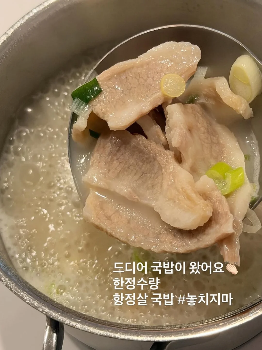 스카프빕 10