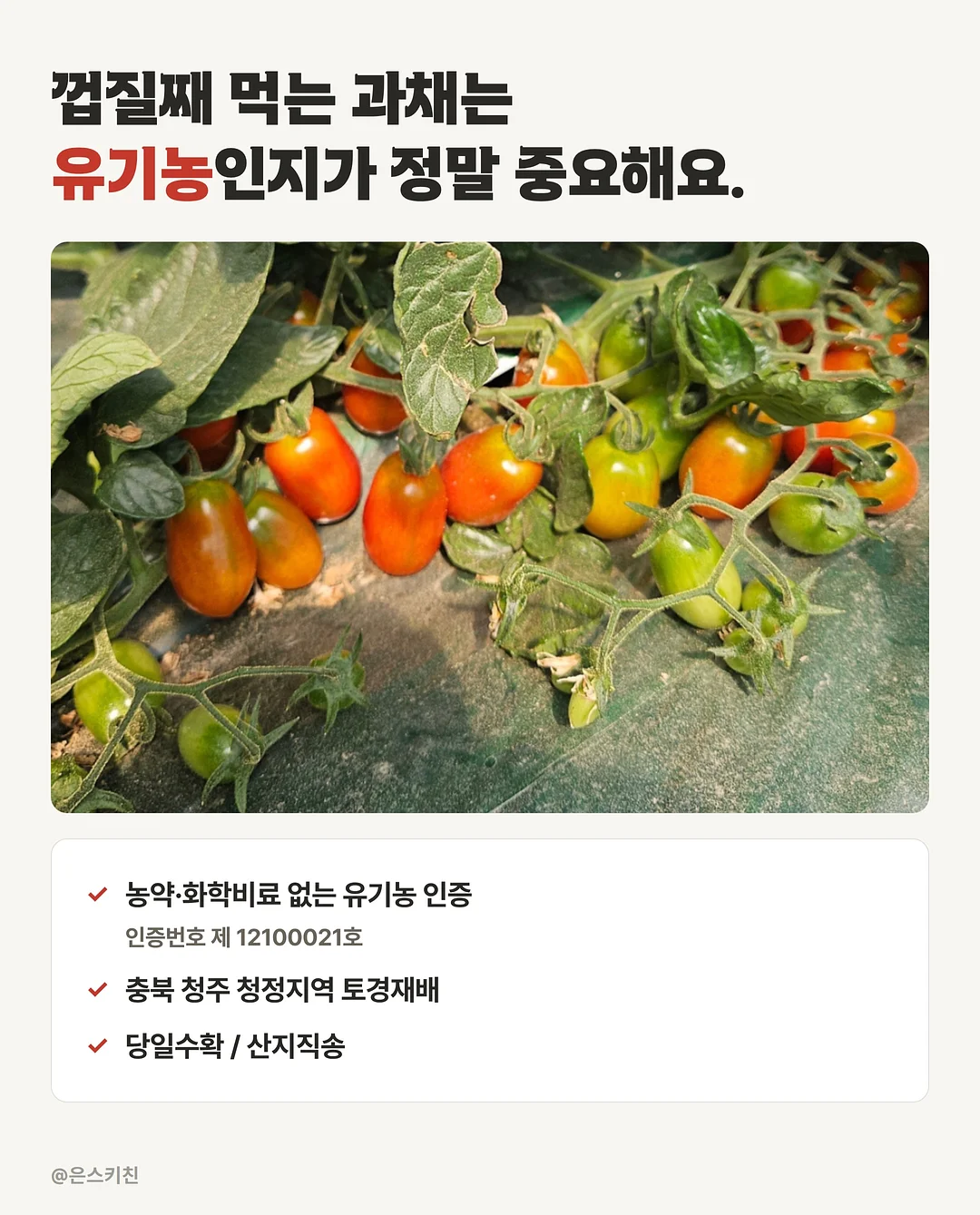 갓김치스팸김밥 4