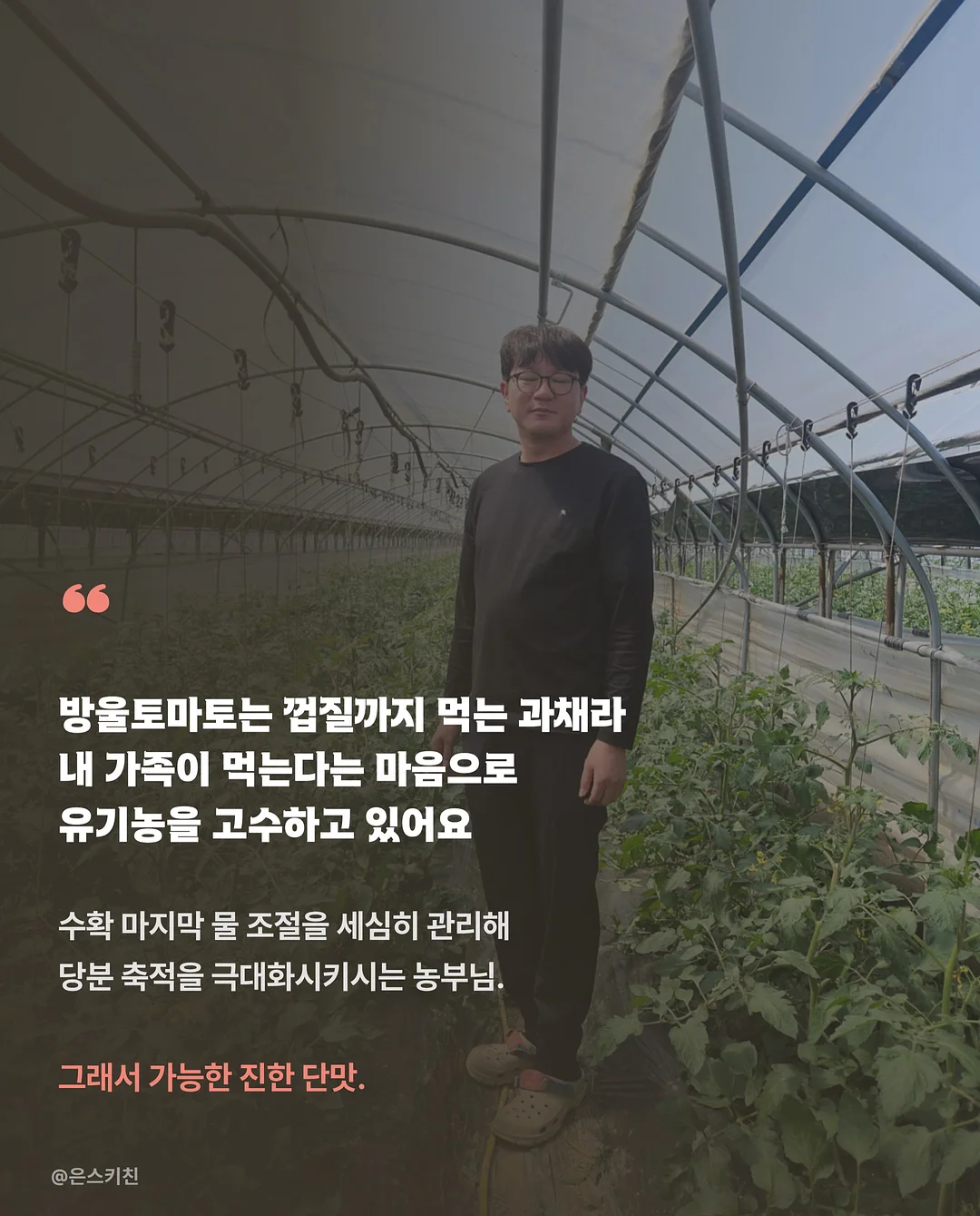 갓김치스팸김밥 5