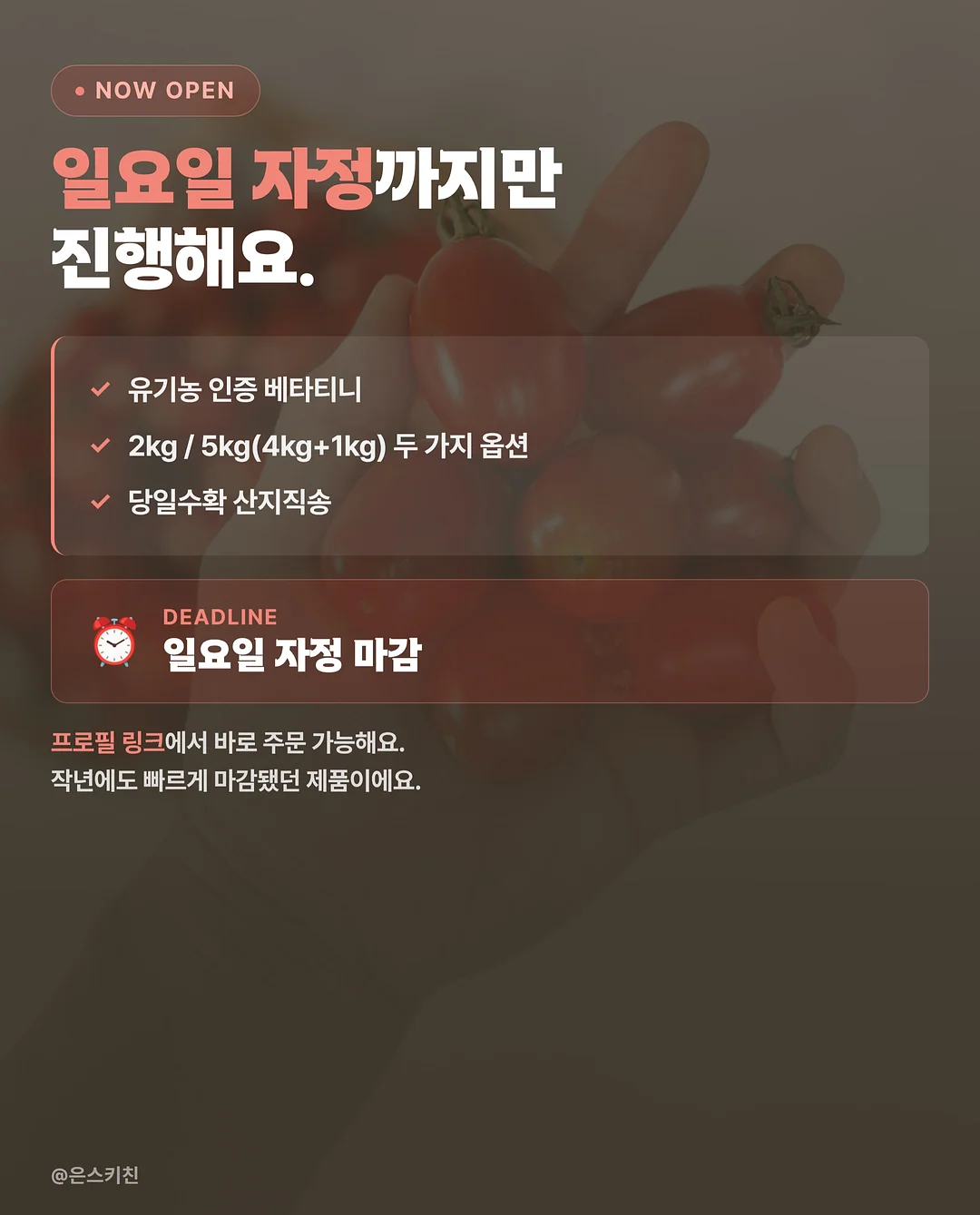 갓김치스팸김밥 9