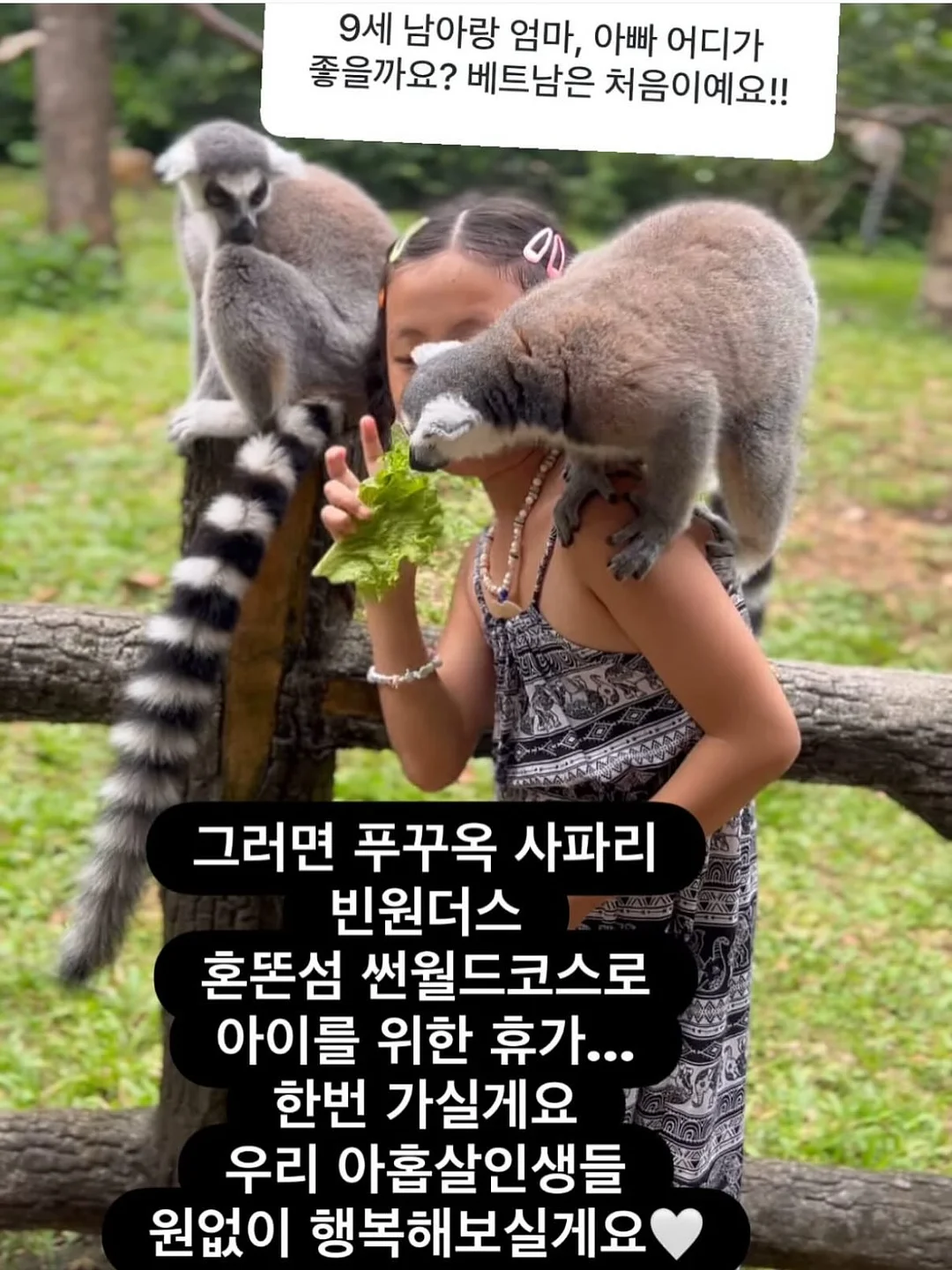 빅헤드 레드도트 토끼귀 몬치치 11