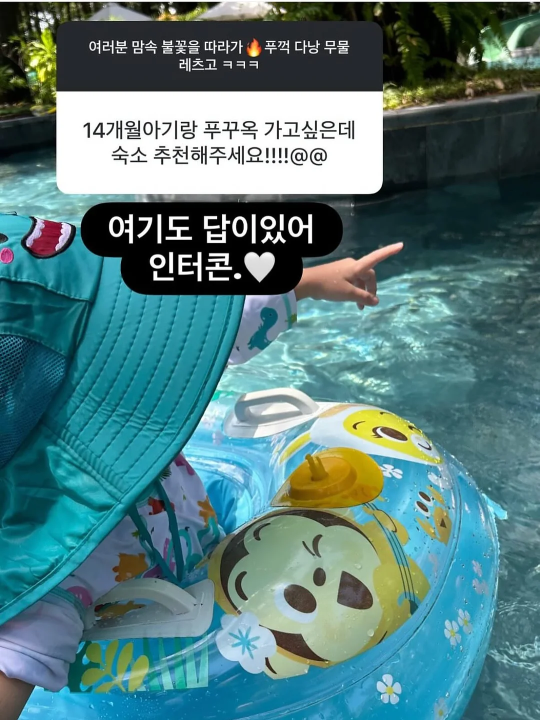 빅헤드 레드도트 토끼귀 몬치치 12