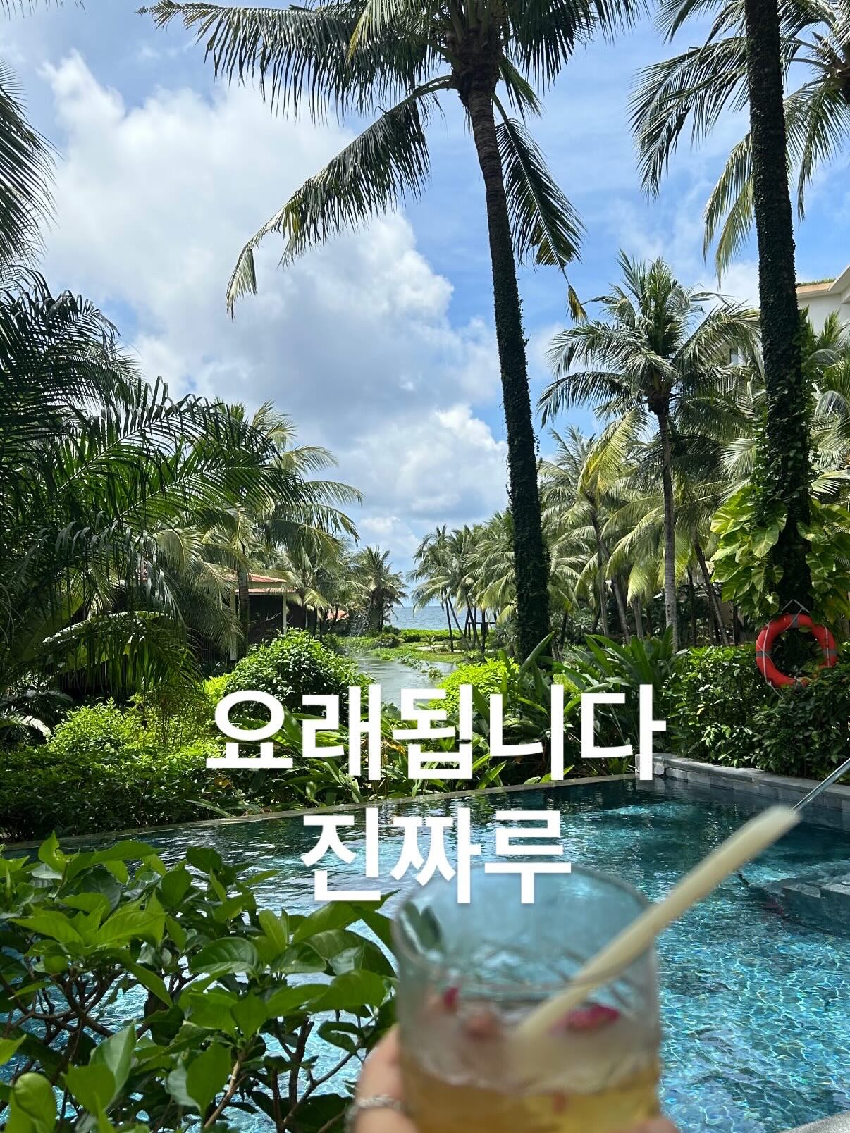 빅헤드 레드도트 토끼귀 몬치치 20