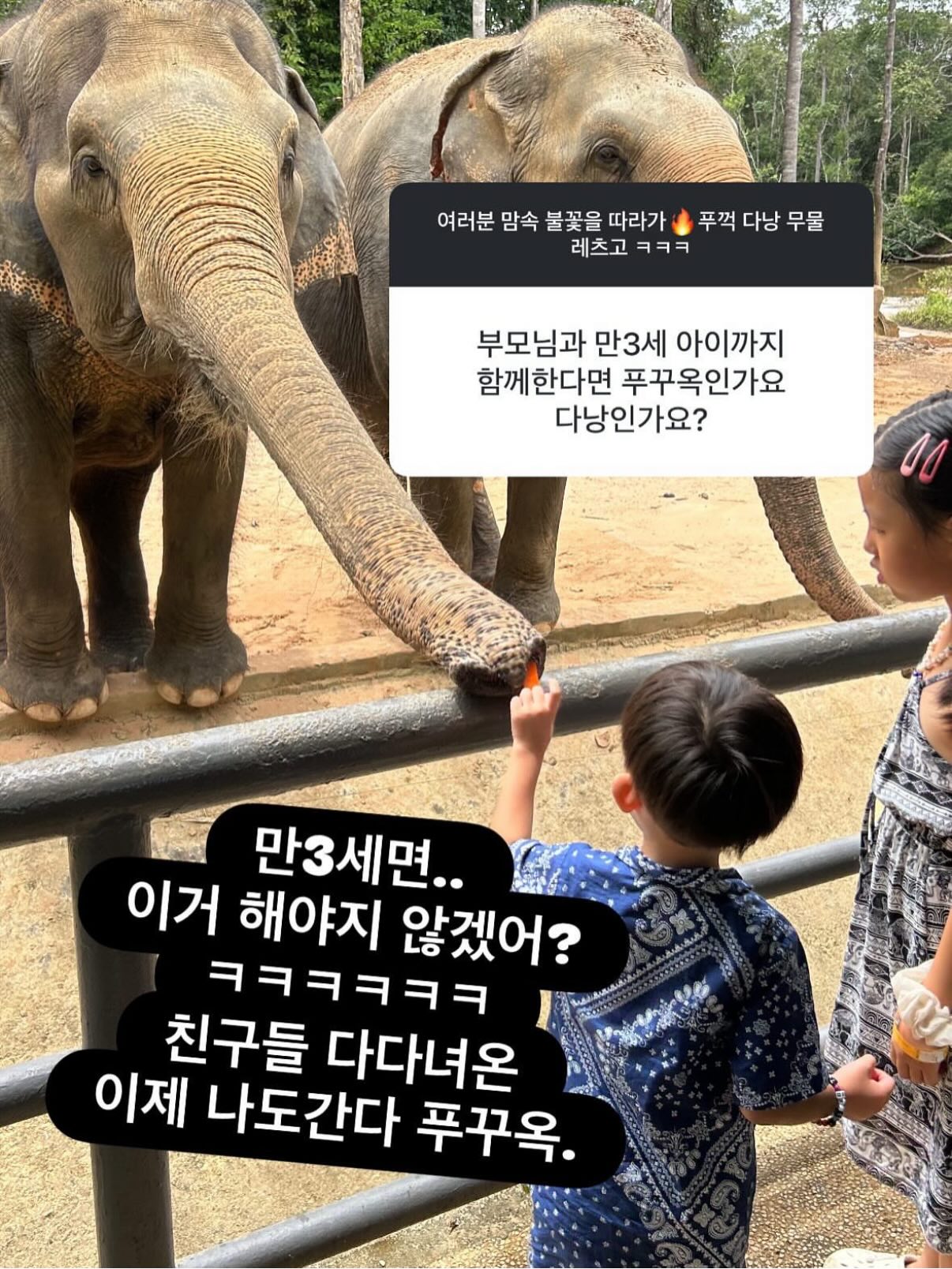 빅헤드 레드도트 토끼귀 몬치치 7