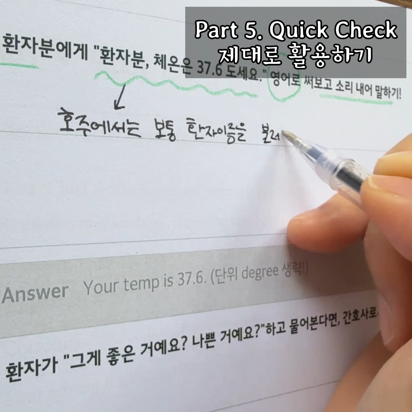 캣인어박스