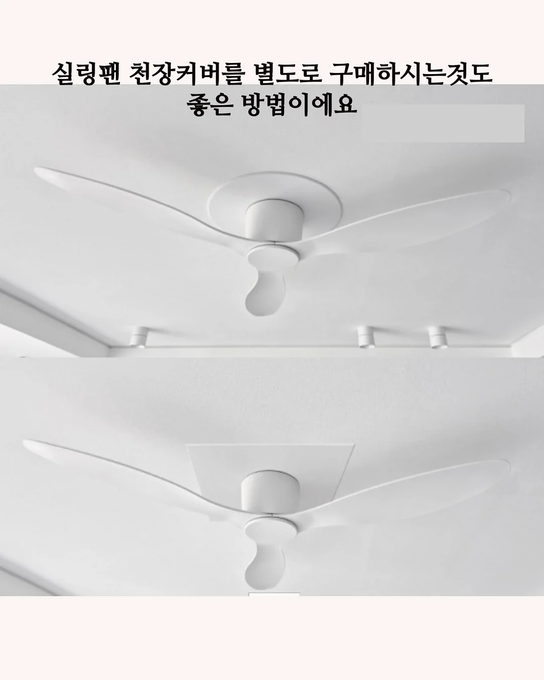 모임 별 공연/드링킹 세션 ‘6’ 14