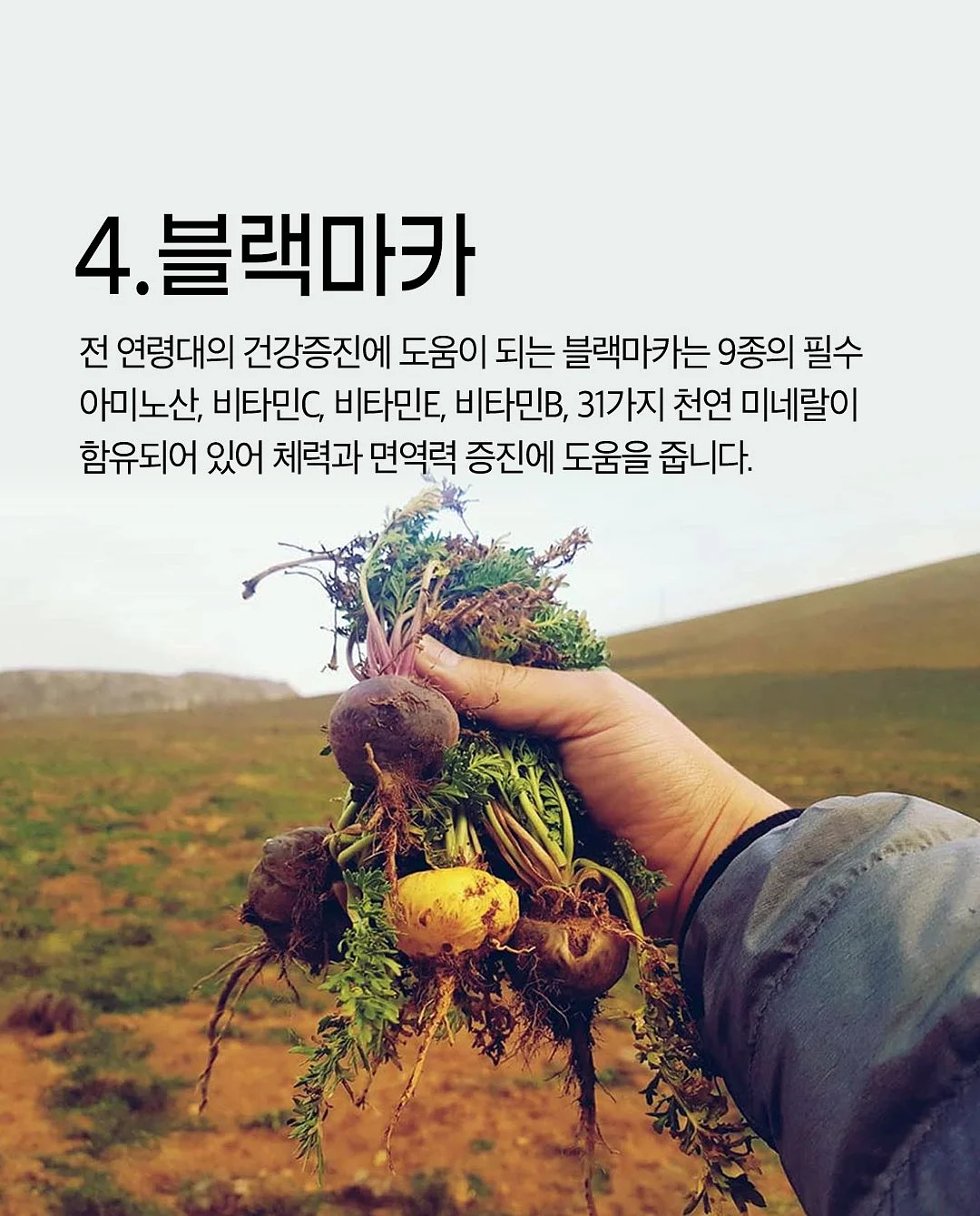 떡뻥 5
