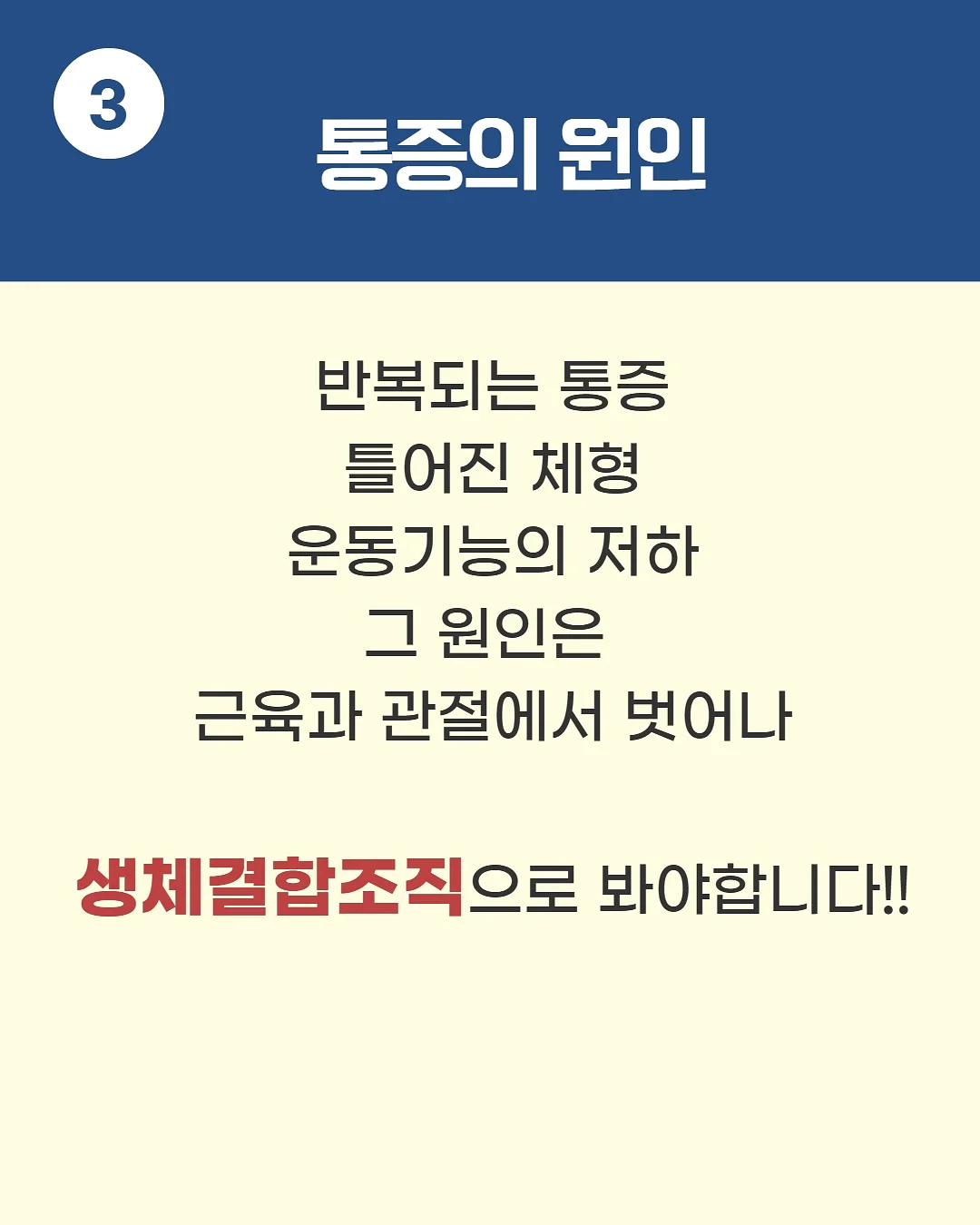 원피스 5