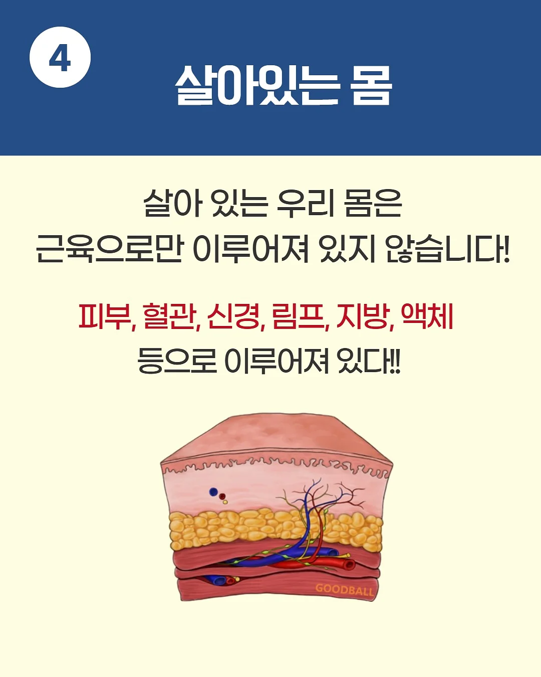 원피스 6