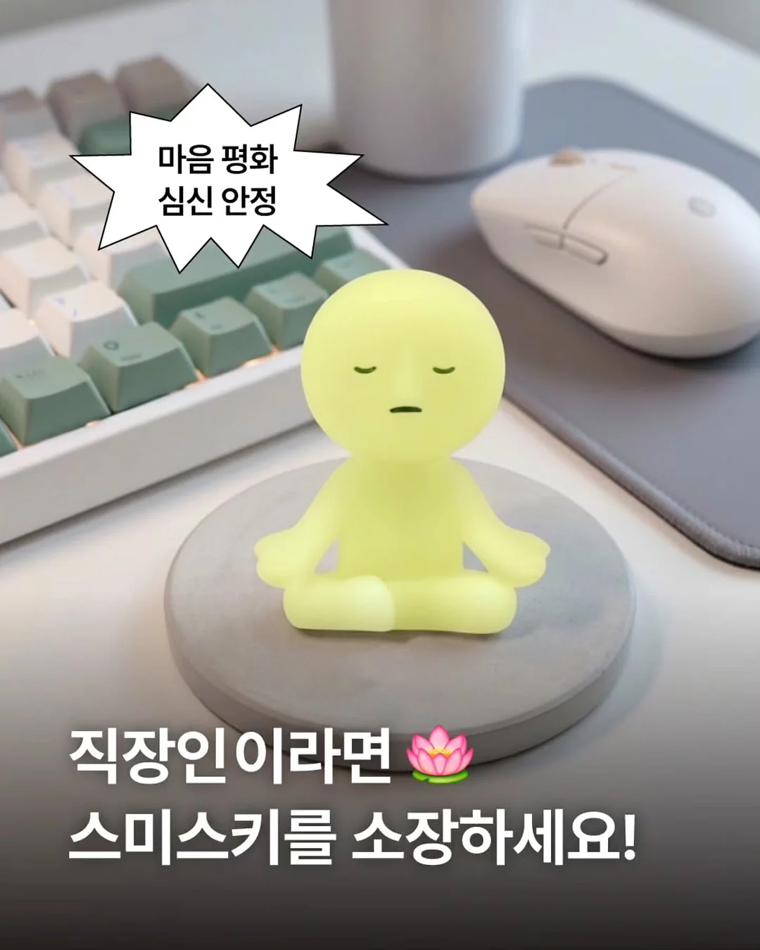 실리프랑 찜기 1