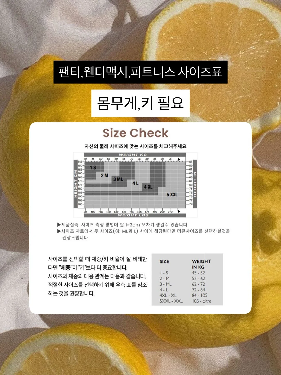 YDY 올액티브 비큐텐 11