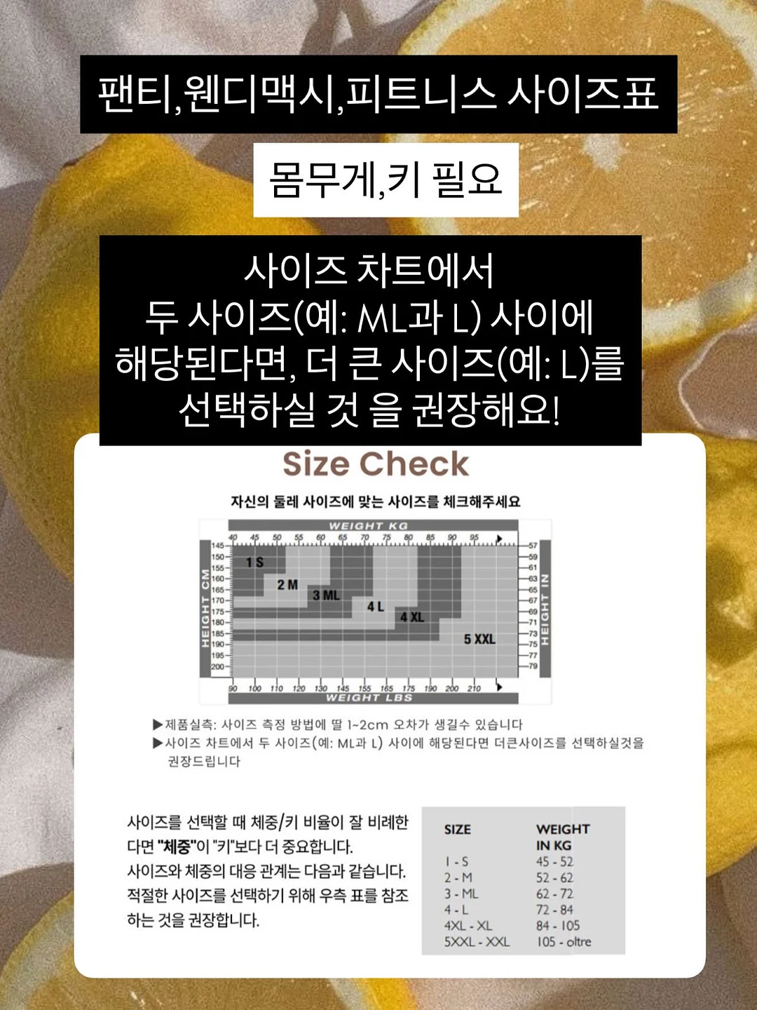 YDY 올액티브 비큐텐 12