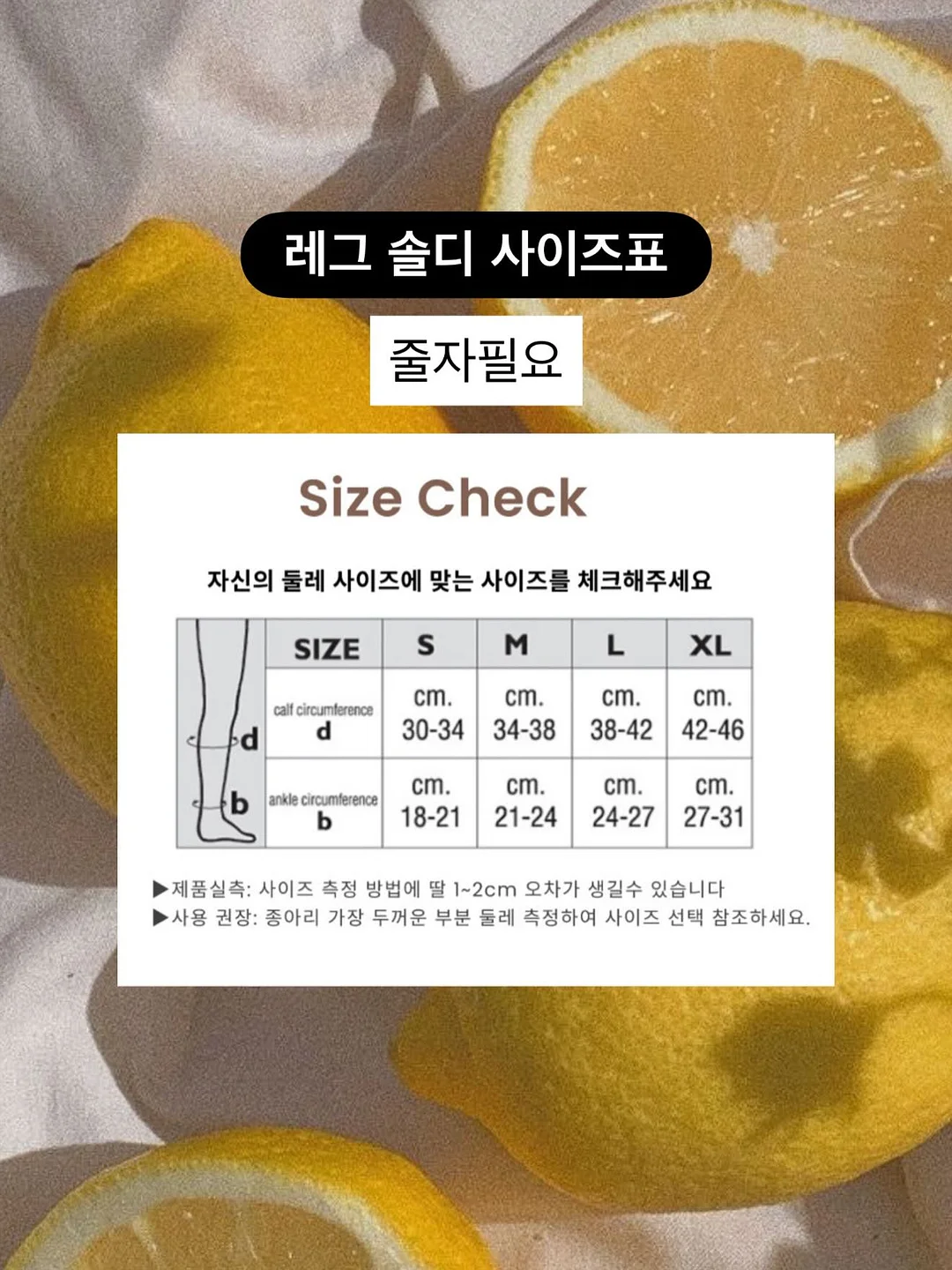 YDY 올액티브 비큐텐 13