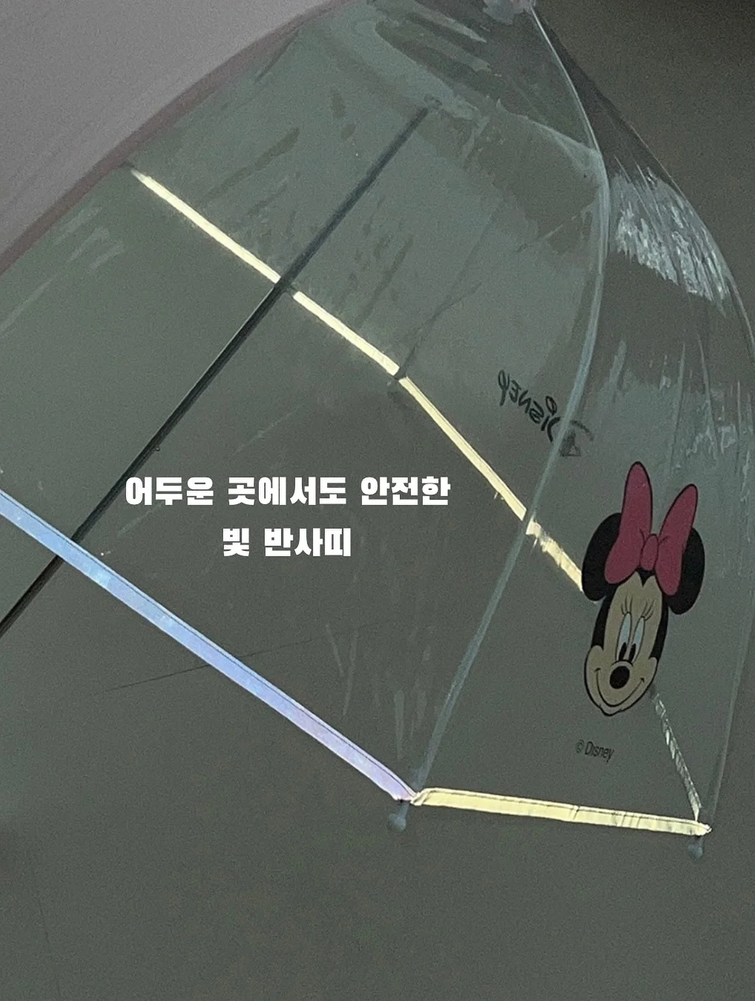 마운틴코스터 평창 9