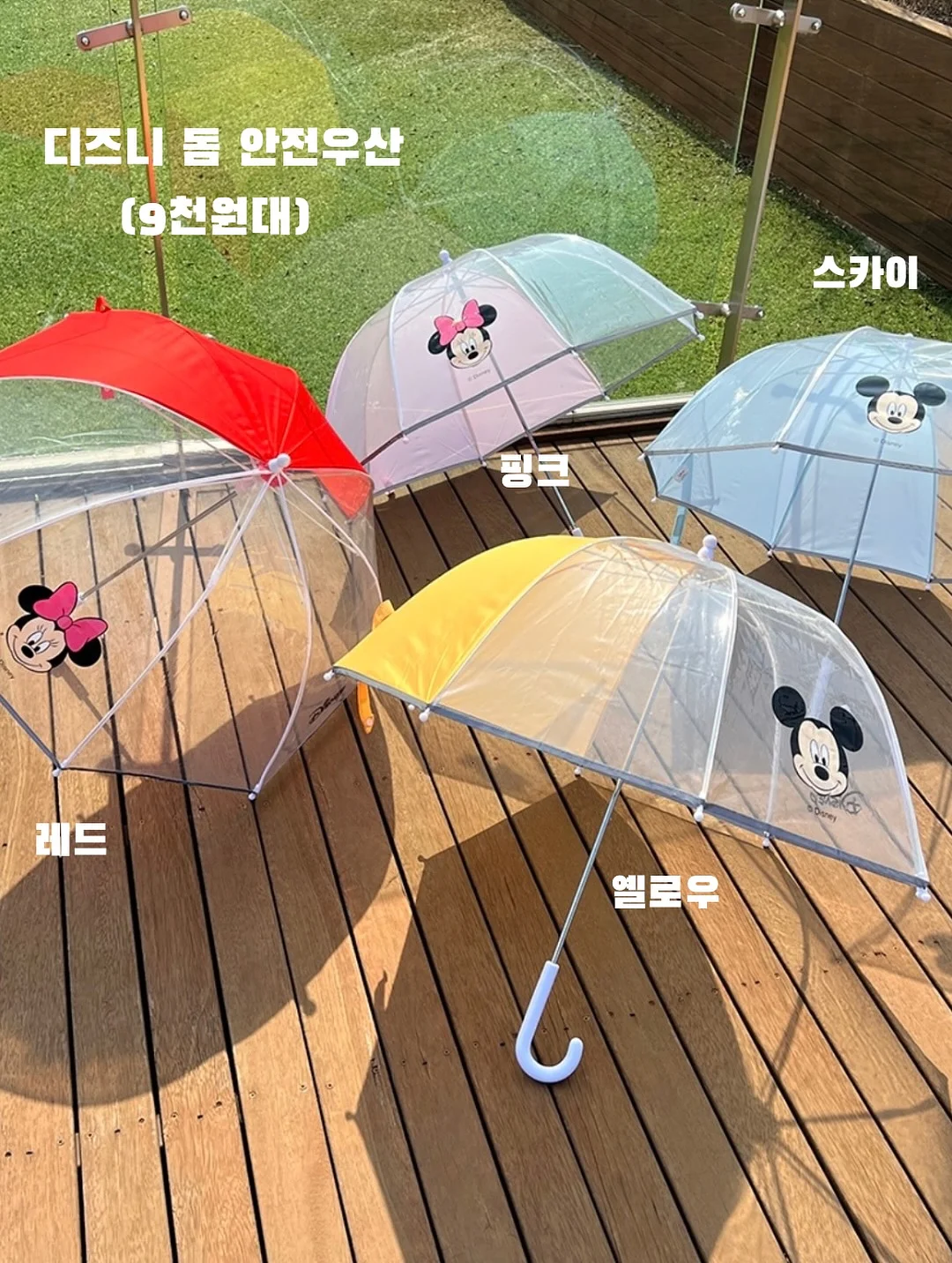 마운틴코스터 평창 10
