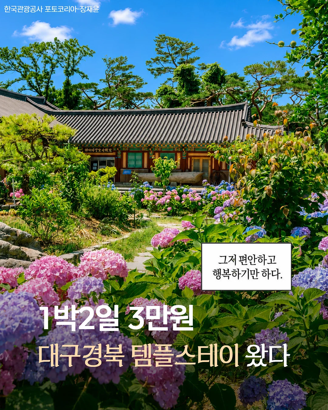 뮤이마켓 여름 시즌 1