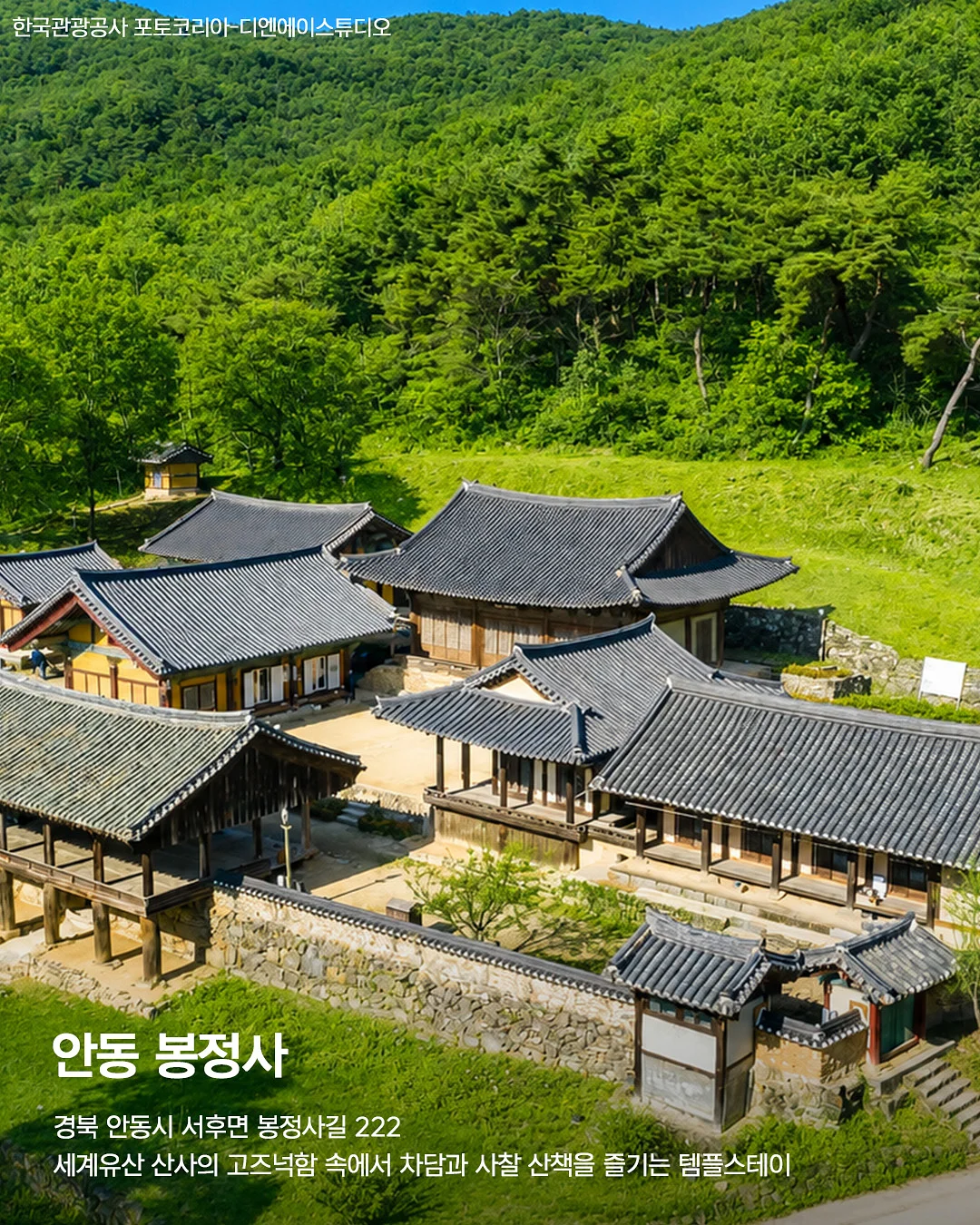 뮤이마켓 여름 시즌 3