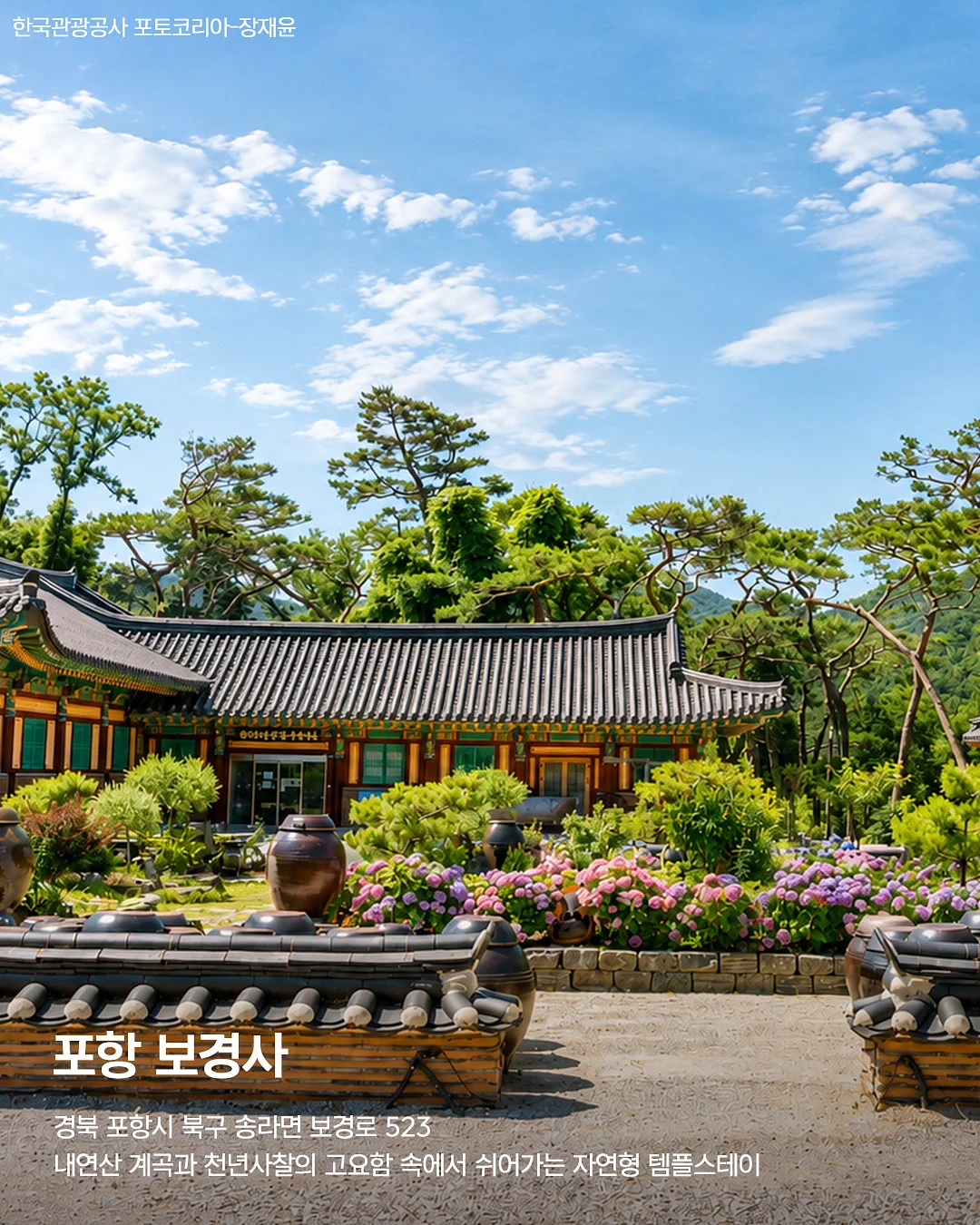 뮤이마켓 여름 시즌 4