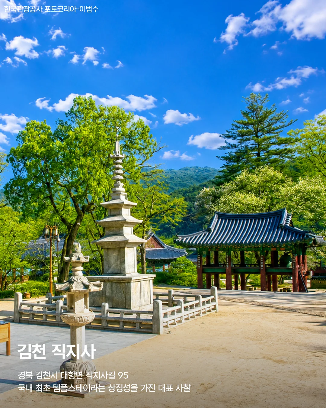 뮤이마켓 여름 시즌 5