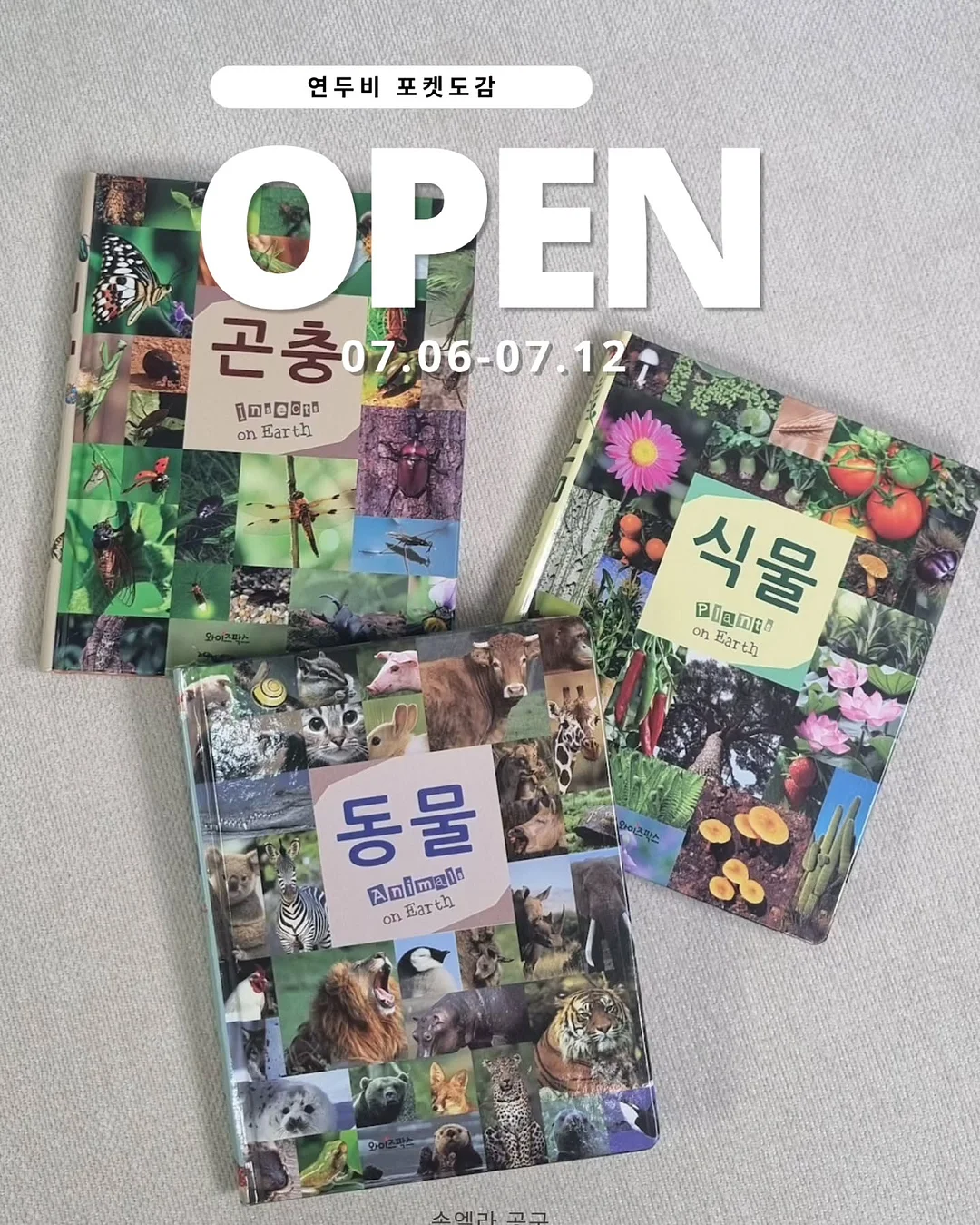 OMEGA 드빌 브레이슬릿 다이아워치 7