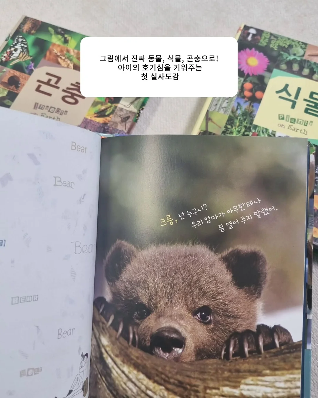 OMEGA 드빌 브레이슬릿 다이아워치 8
