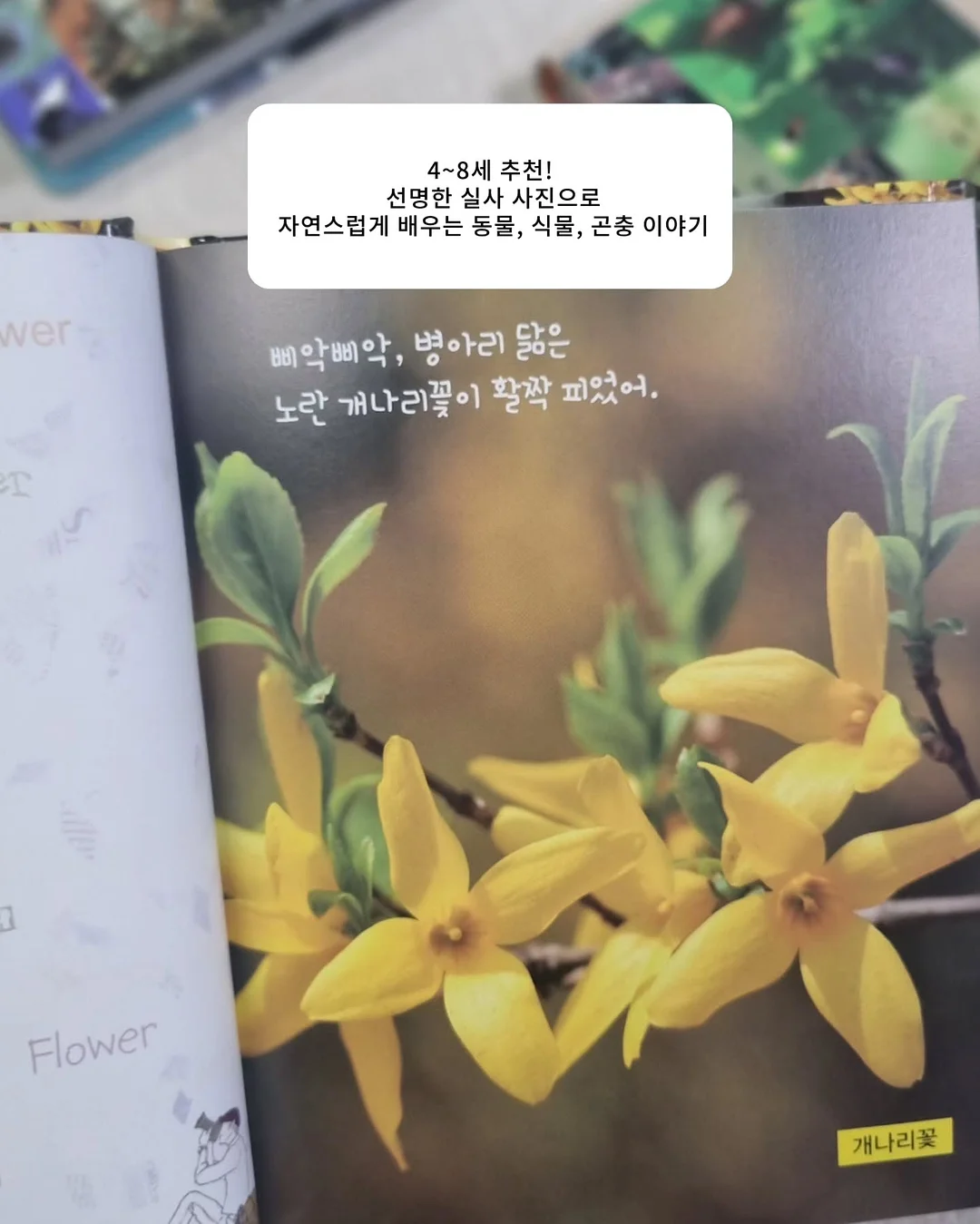 OMEGA 드빌 브레이슬릿 다이아워치 9