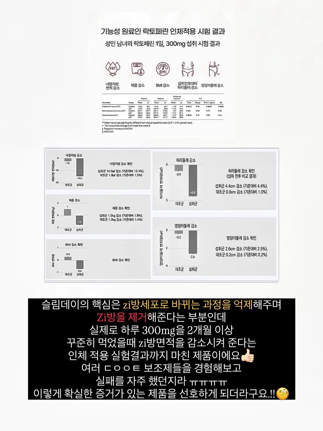 디그니티 장미 1